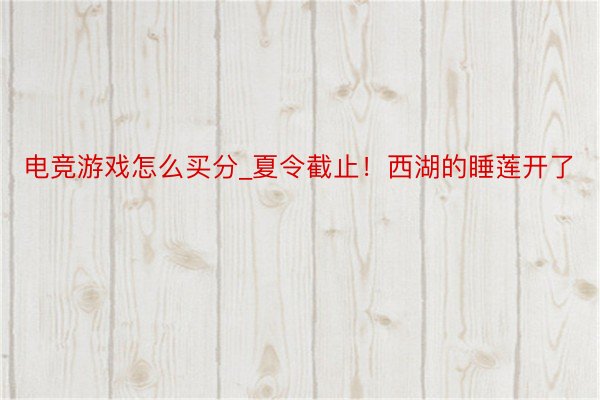 电竞游戏怎么买分_夏令截止！西湖的睡莲开了