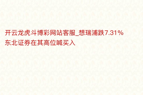 开云龙虎斗博彩网站客服_想瑞浦跌7.31% 东北证券在其高位喊买入