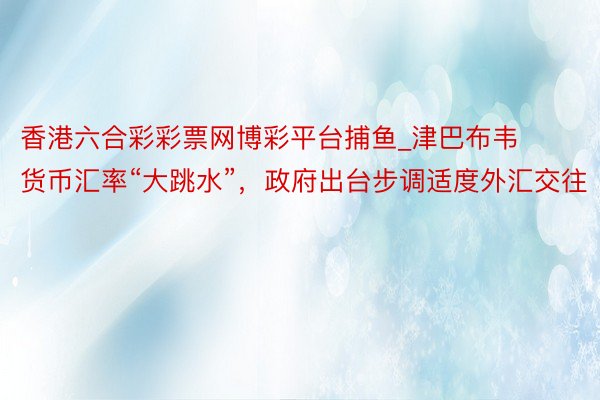 香港六合彩彩票网博彩平台捕鱼_津巴布韦货币汇率“大跳水”，政府出台步调适度外汇交往